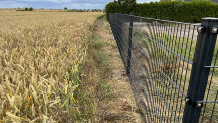 Clôture en panneau double fil de 2024 à 17309 Brietzig Allemagne de Zaunteam Pasewalk.