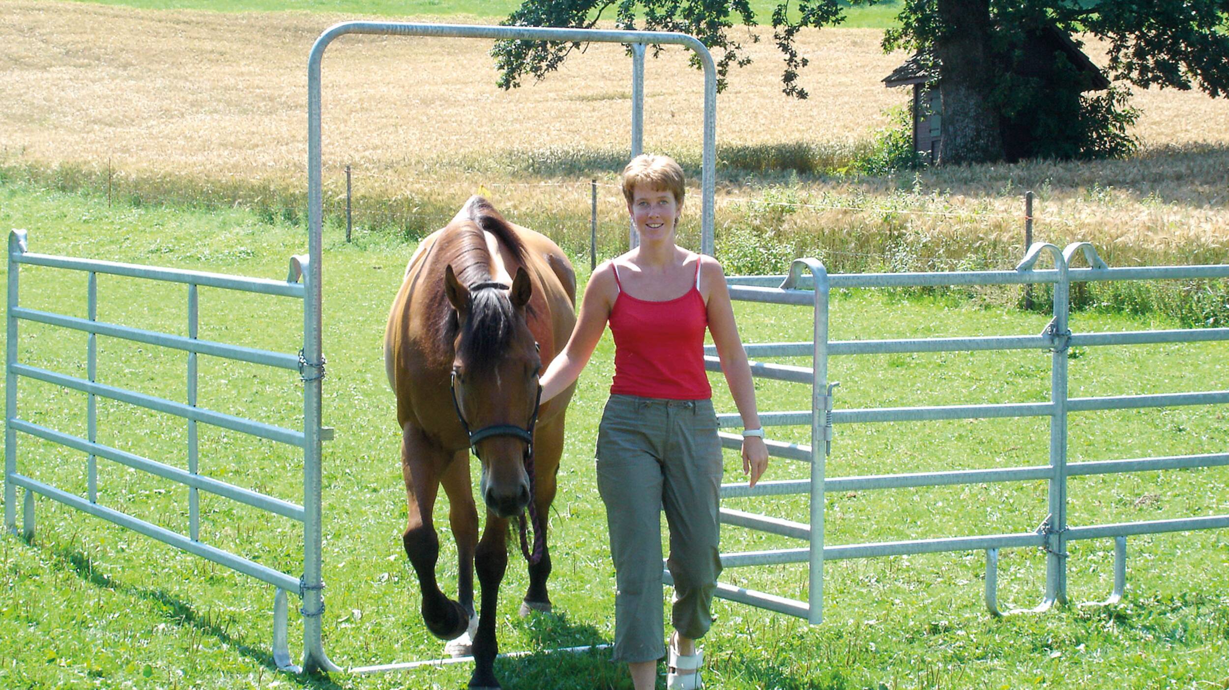 Zaunteam Panelzaun für die flexible Einzäunung der Tiere